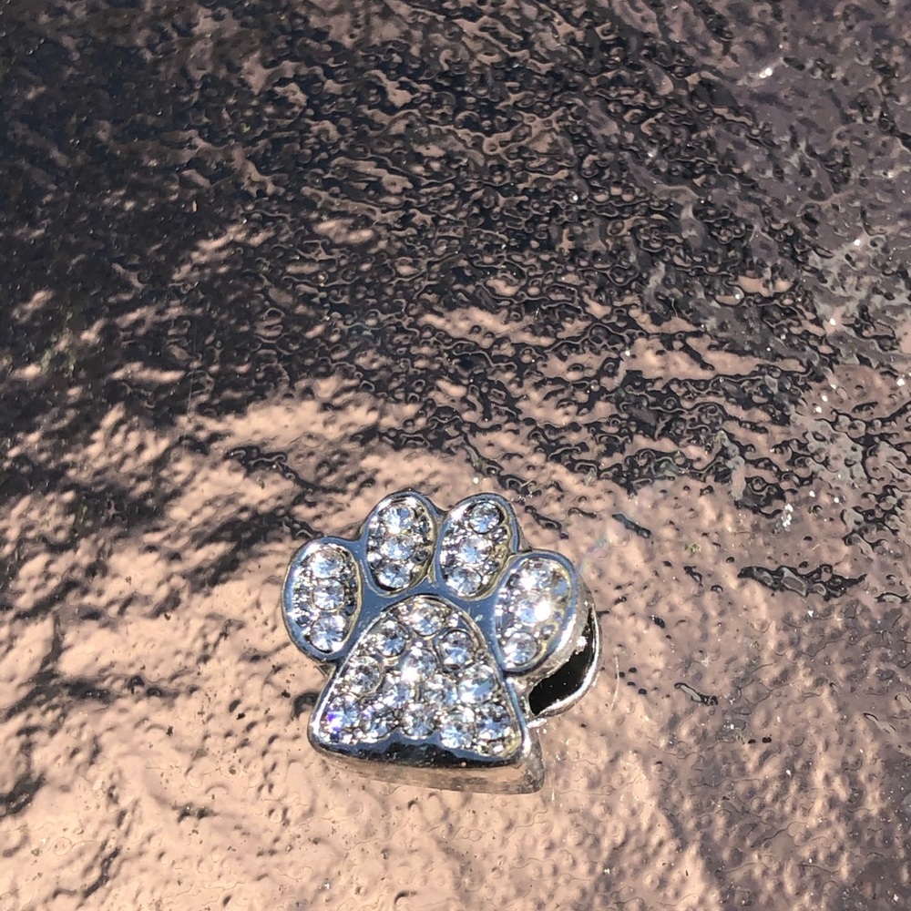 Charm dog paw cat paw silver BLOW OUT
SPECIAL - Picture 4 of 4